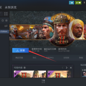 《帝国时代2:决定版》点击下载游戏为什么速度很慢？