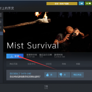 《迷雾生存》点击下载游戏为什么速度很慢？