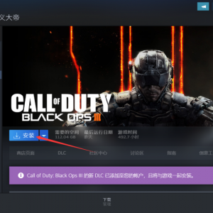 《使命召唤12：黑色行动3》点击下载游戏为什么速度很慢？
