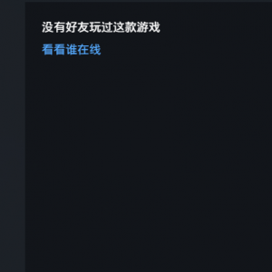 《看门狗》点击下载游戏为什么速度很慢？